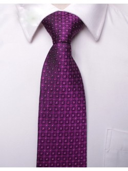 Kaklaraištis „cv0089“
